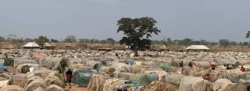 Seis días de masacre en una zona cristiana de Benue
